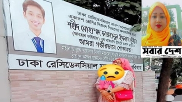 আমার দেখা ৩৬ জুলাই ২০২৪