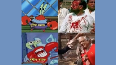 আমরা সবাই মুক্তিযোদ্ধা, আমরা সবাই সুশীল!