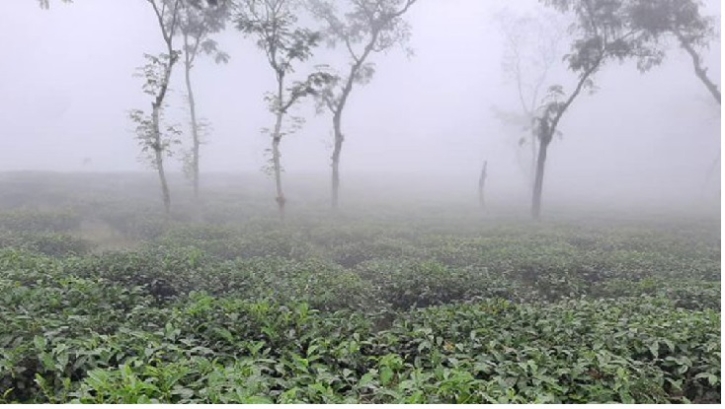 প্রচন্ড শীতে কাঁপছে মৌলভীবাজার