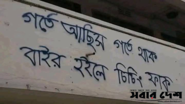 গর্তে আছিস গর্তে থাক, বাইর হইলে চিচিং ফাঁক!