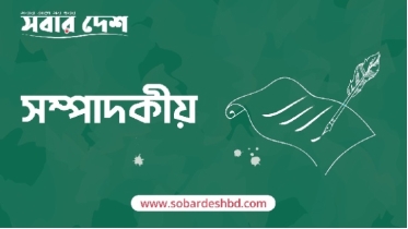 সীমান্তে অনুপ্রবেশ সার্বভৌমত্বের প্রতি হুমকি