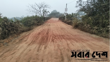 মেঘনায় তুলাতলীর রাস্তার বেহাল দশা, ভোগান্তি চরমে