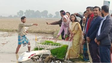 সমলয় পদ্ধতিতে ধান চাষ শুরু আখাউড়ায় 