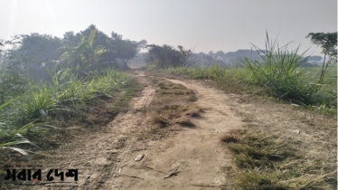 মেঘনায় দেড় দশকেও সংস্কার হয়নি তুলাতুলী-বটতলা রাস্তা