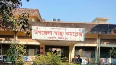 মৌমাছির কামড়ে যুবকের মৃত্যু, আহত ১৬