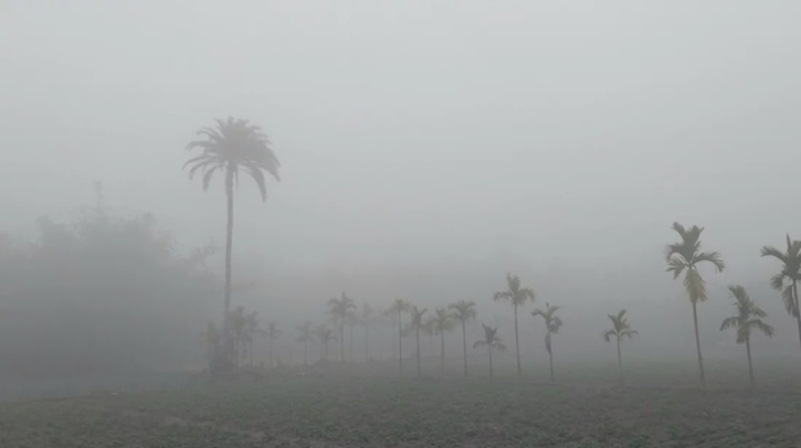 দিন-রাতের তাপমাত্রা কমতে পারে টানা ৩ দিন